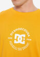 Футболка мужская DC Shoes Essy Dorrington, Желтый6  - превью