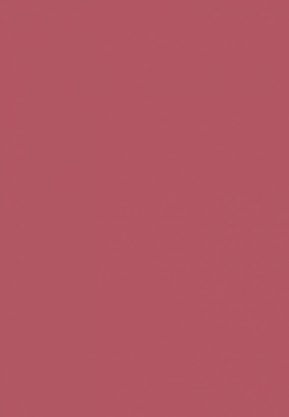 Помада жидкая Muzigae Mansion