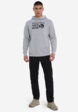 Худи мужское Mountain Hardwear Logo, Серый4  - превью
