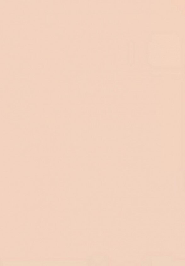 Пудра компактная Zeesea