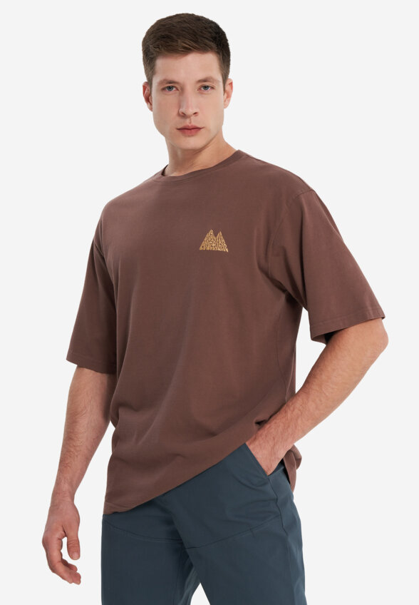 Футболка мужская Mountain Hardwear Mountains Collab Short Sleeve, Коричневый