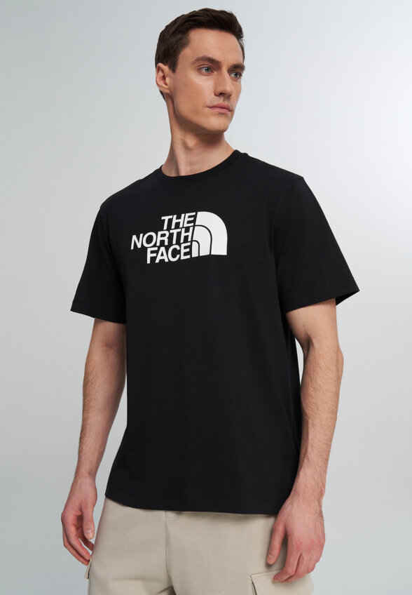 Футболка мужская The North Face Evolution, Черный