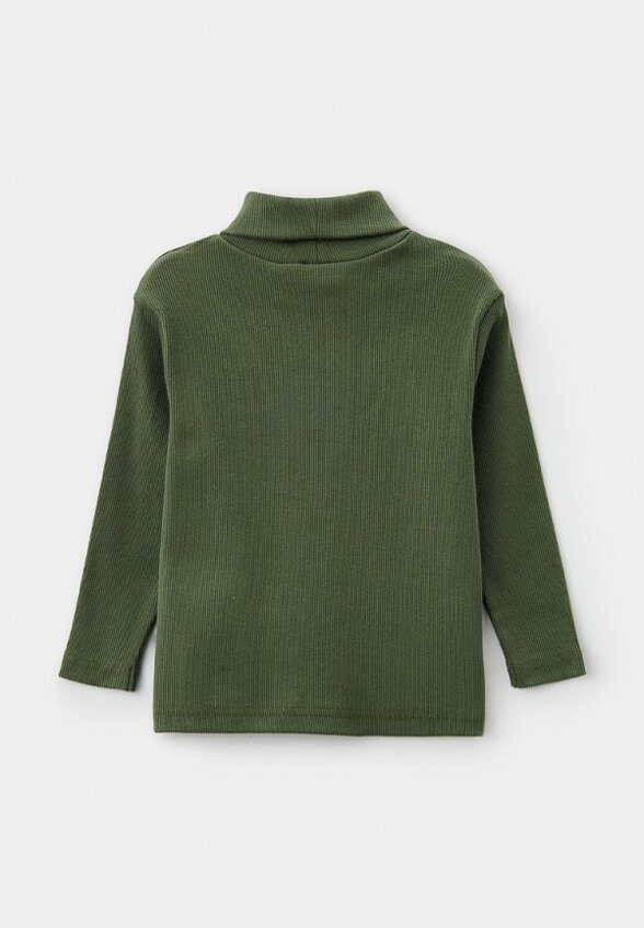 Водолазка Pelican