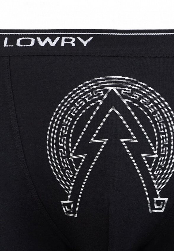 Трусы Lowry Collection