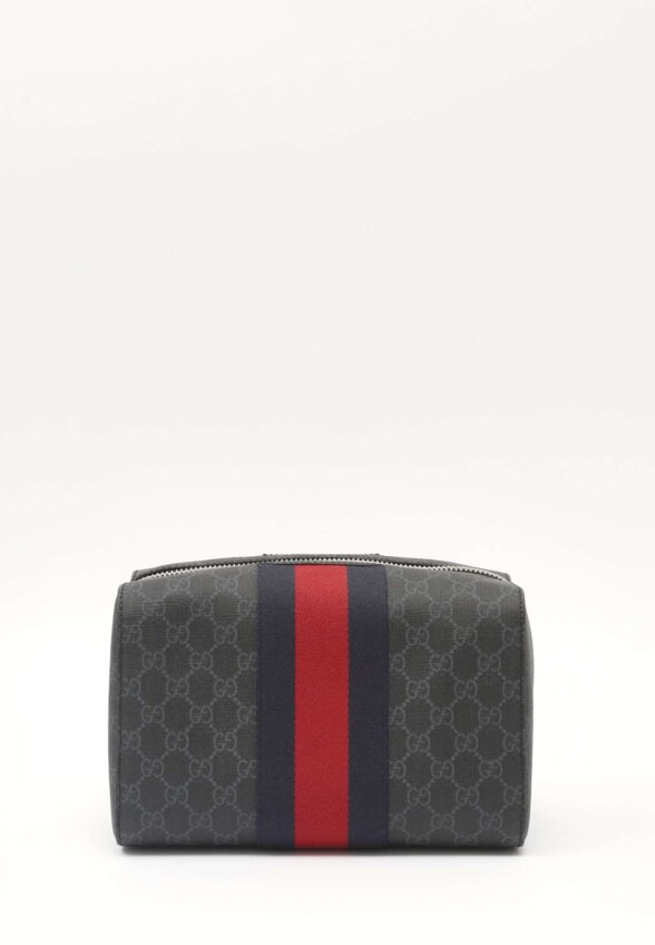 Gucci Case