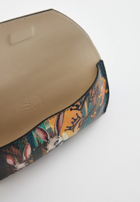 Чехол для очков Curanni