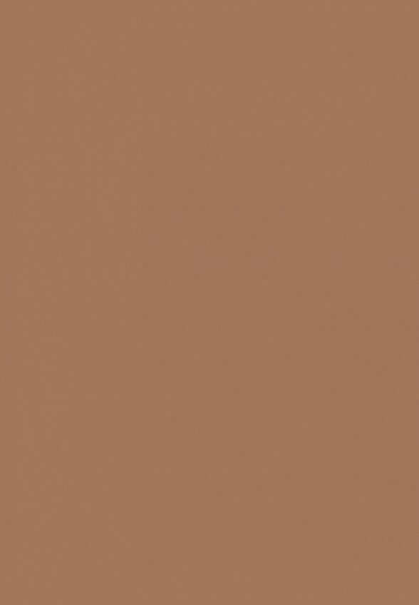 Тушь для бровей Funky Monkey