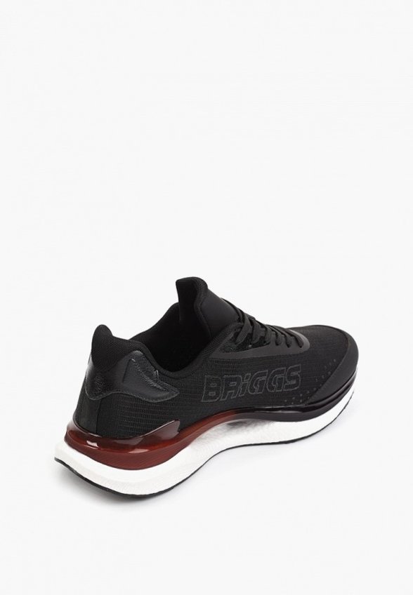 Кроссовки Briggs