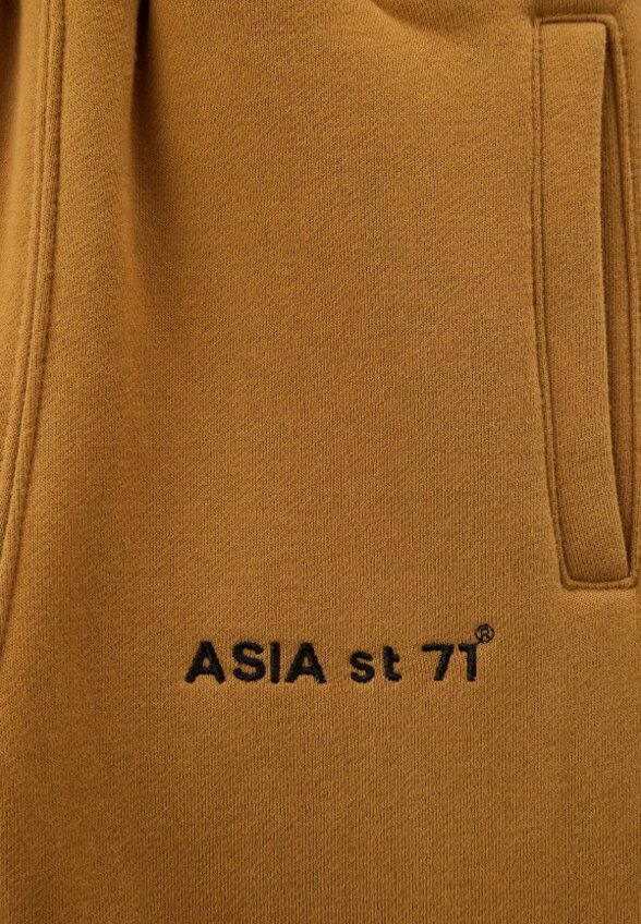 Брюки спортивные Asia st 71