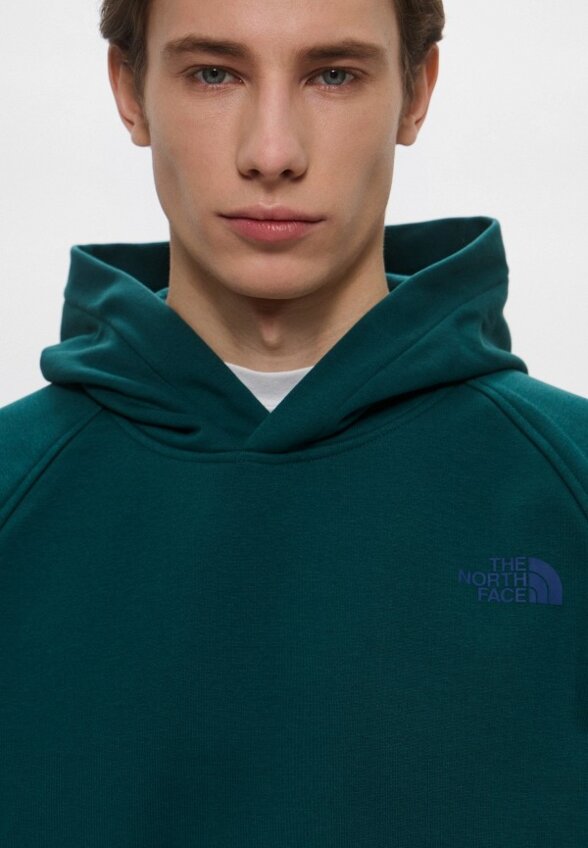 Худи The North Face