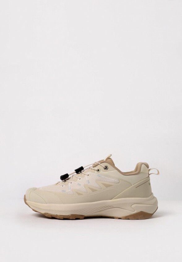 Кроссовки трекинговые Baasploa