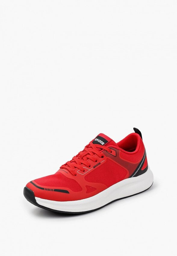 Кроссовки Briggs