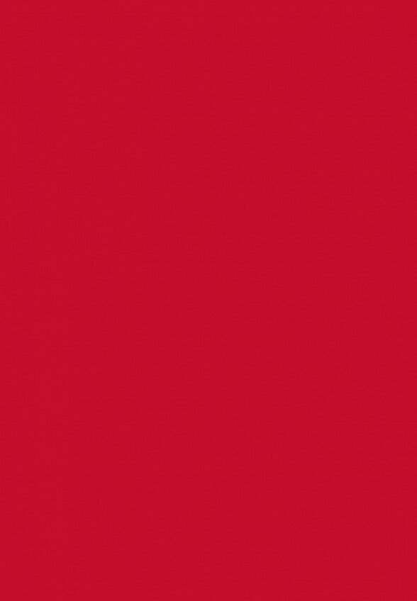 Бальзам оттеночный для губ Arive Makeup