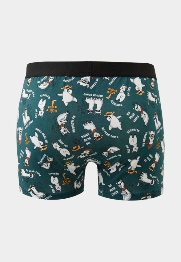 Трусы 2 шт. Funday