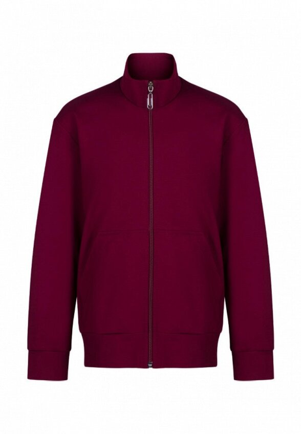 Олимпийка Stylish Amadeo