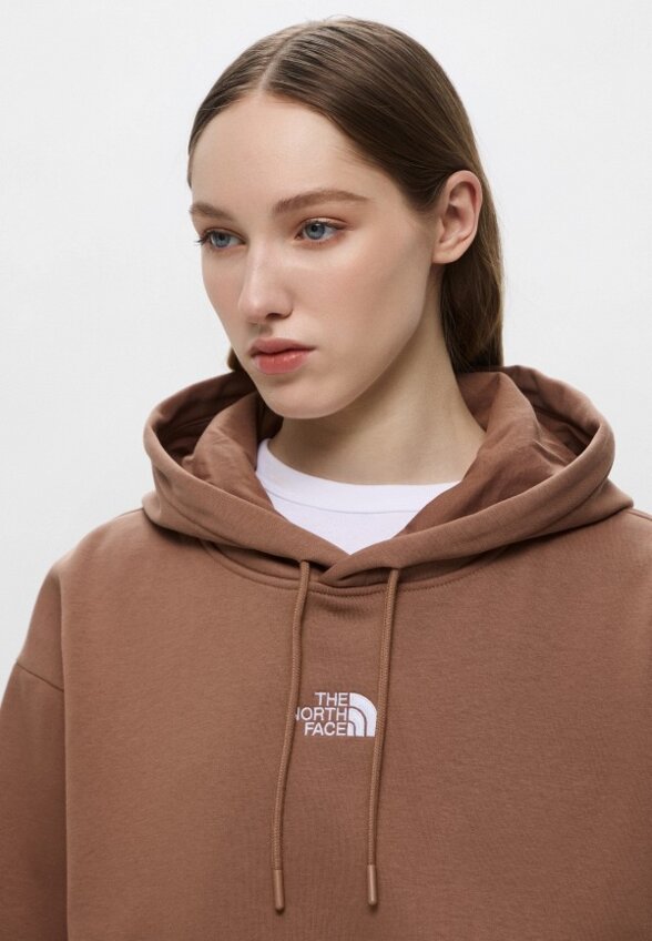 Худи The North Face