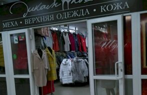 Дикая кошка в ТЦ Центральный №1