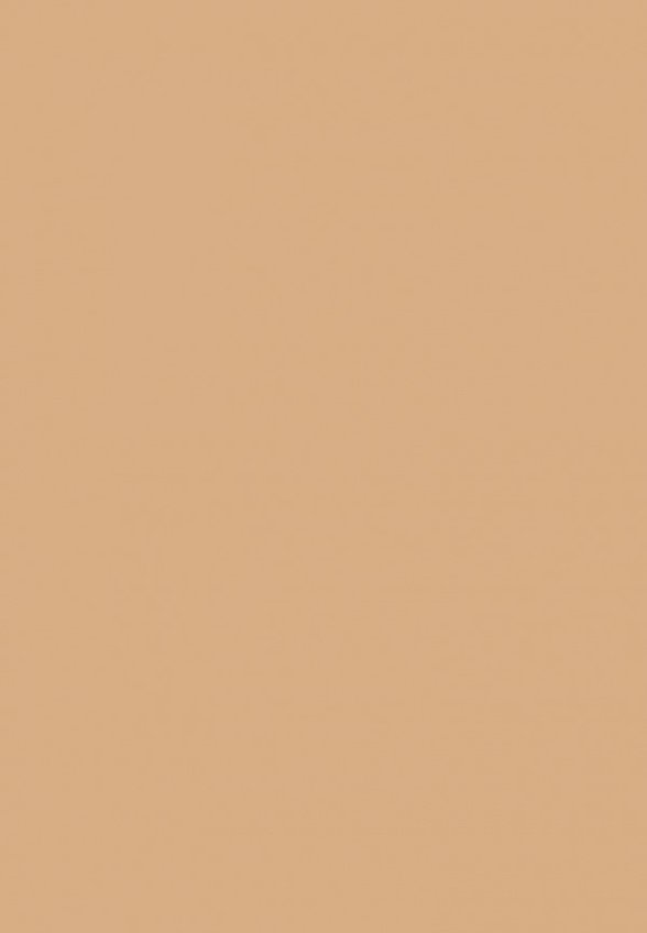 Пудра компактная Limoni