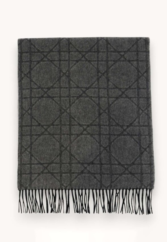 Dior Scarf