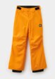 Брюки сноубордические Quiksilver1  - превью