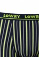 Трусы Lowry Collection2  - превью