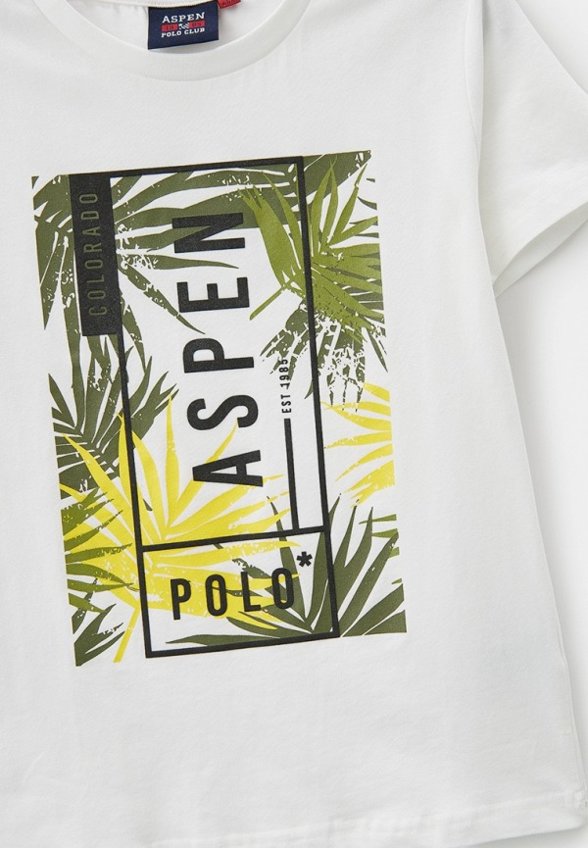 Футболка Aspen Polo Club