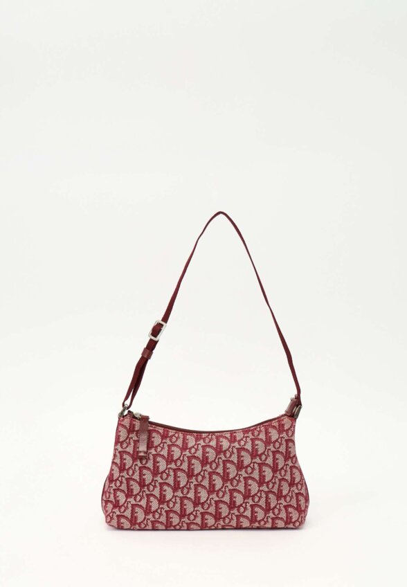 Dior Textile Bag