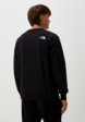 Свитшот The North Face3  - превью