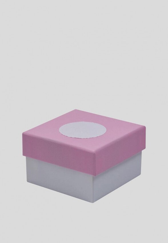 Заколки 2 шт. Assoro