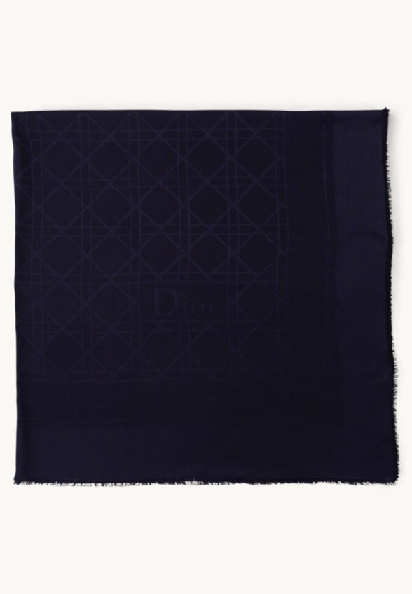 Dior Scarf