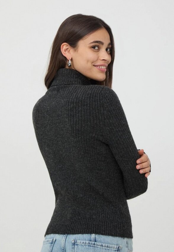 Водолазка Terranova