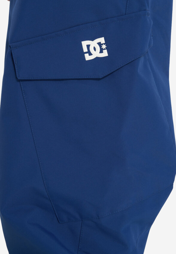 Брюки сноубордические мужские DC Shoes Banshee, Синий