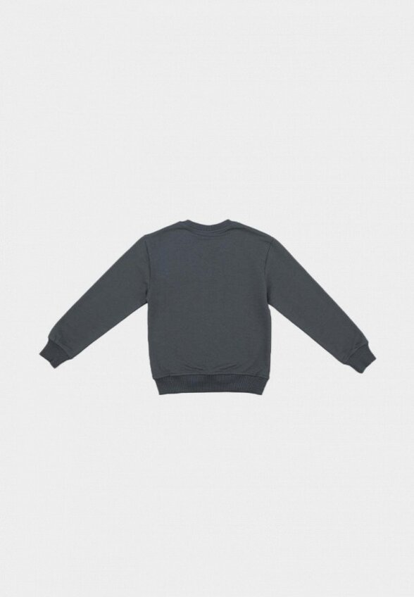 Свитшот Nordman