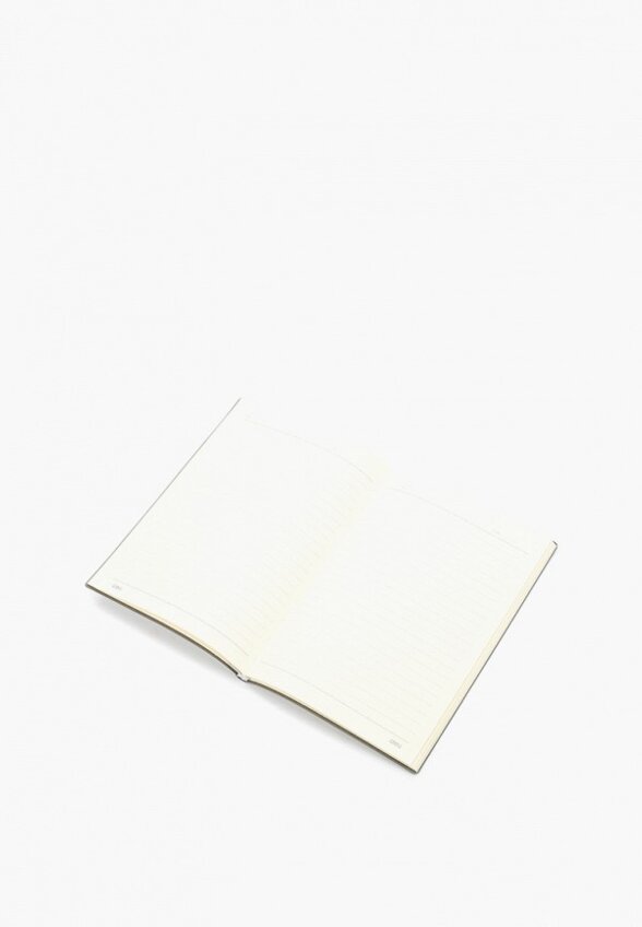 Ежедневник Deli