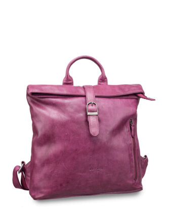 Др.Коффер B402877-248-74 рюкзак женщинам