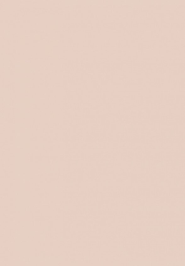 Пудра рассыпчатая Zeesea