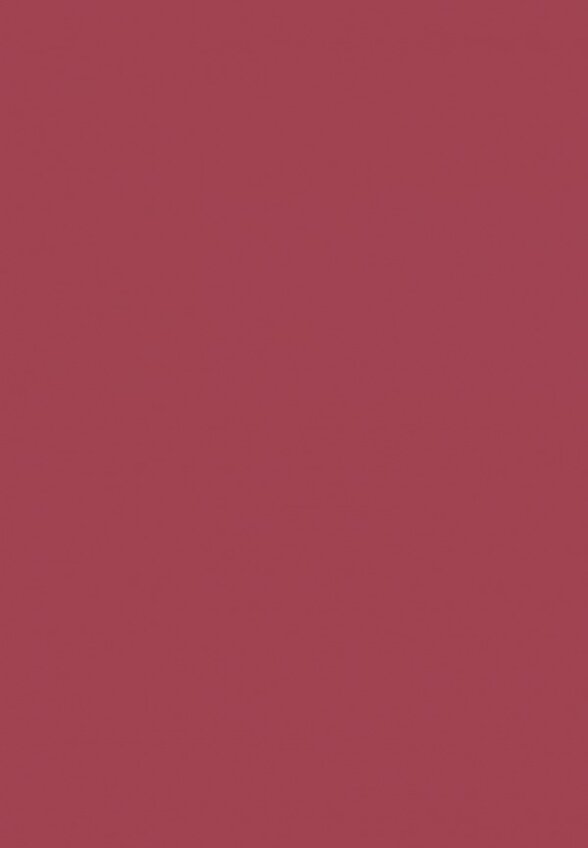 Помада Manly Pro