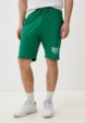 Шорты спортивные Terranova1  - превью