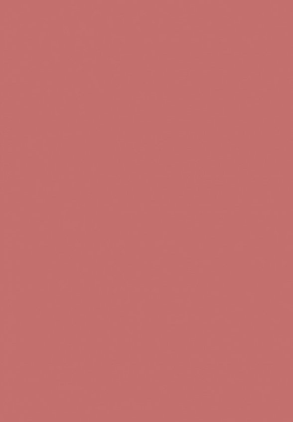 Румяна Kiko Milano