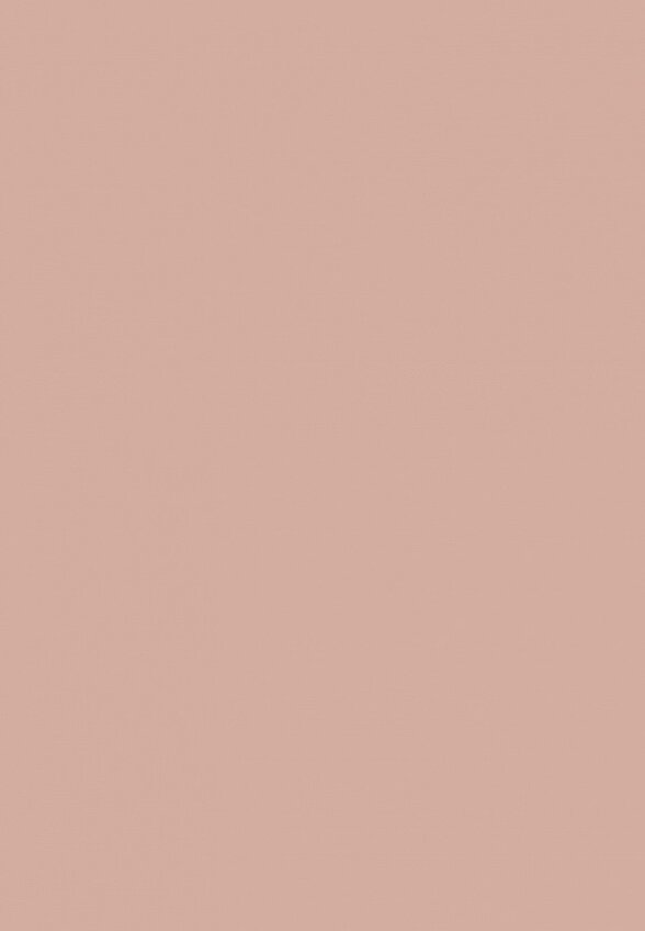 Тональная основа Influence Beauty