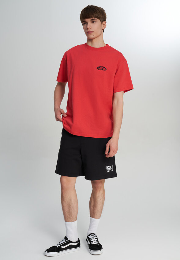 Футболка мужская Vans Double Standard SS, Красный