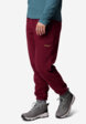 Брюки женские Columbia Sequoia Grove Fleece Pant, Красный2  - превью