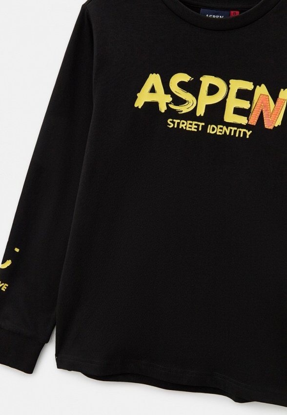 Лонгслив Aspen Polo Club