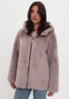 Дубленка Grafinia4  - превью