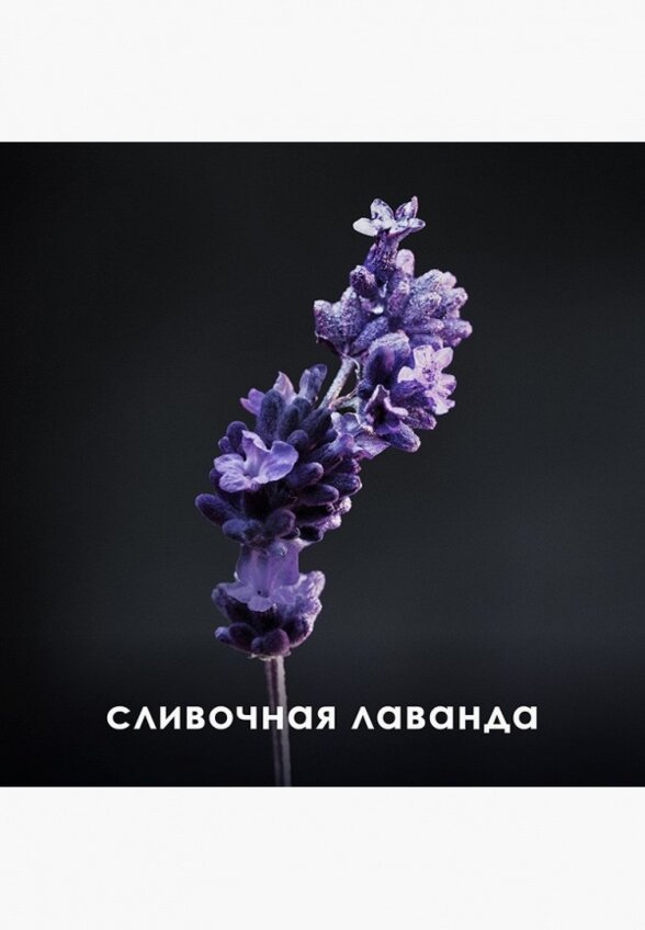 Туалетная вода Paco Rabanne