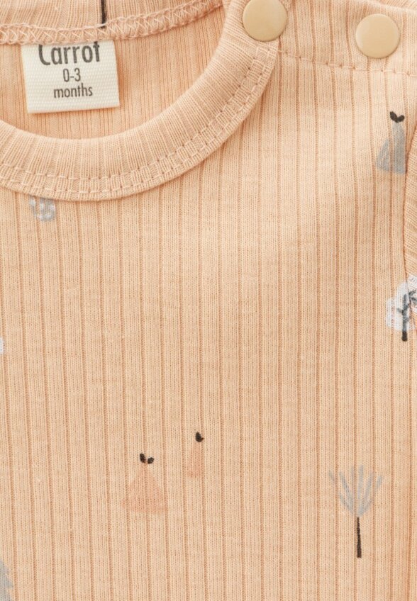 Боди 3 шт. Carrot