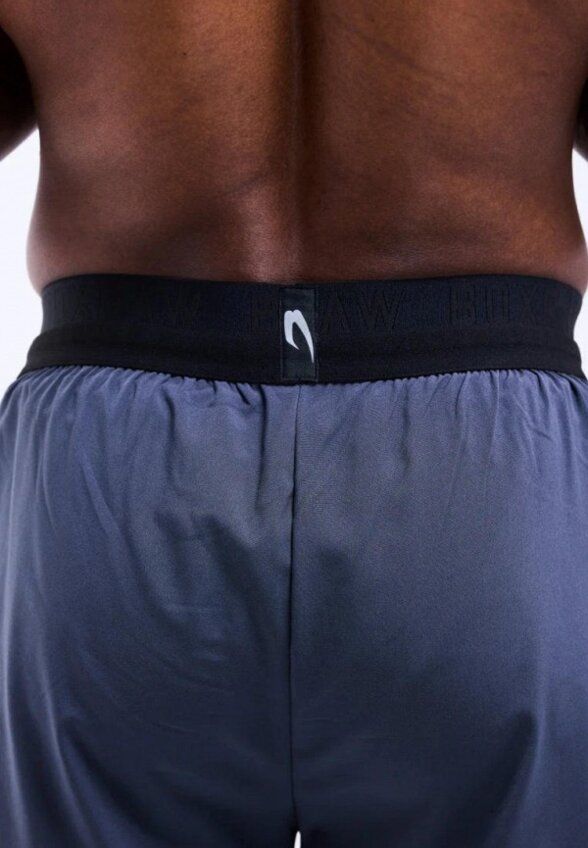 Шорты спортивные Boxraw