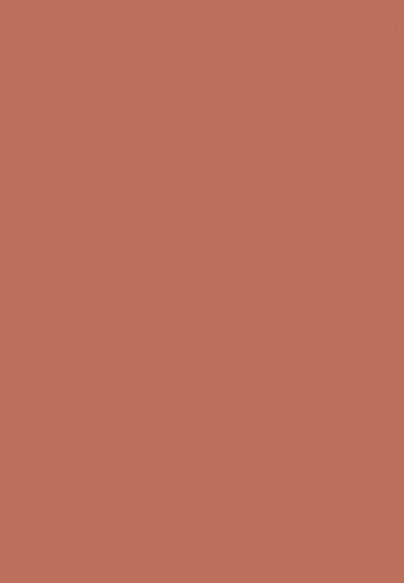 Помада Muzigae Mansion