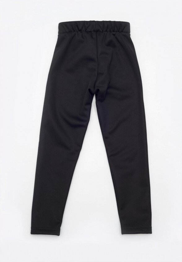 Брюки утепленные Artel Sport