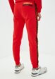 Брюки спортивные Великоросс3  - превью